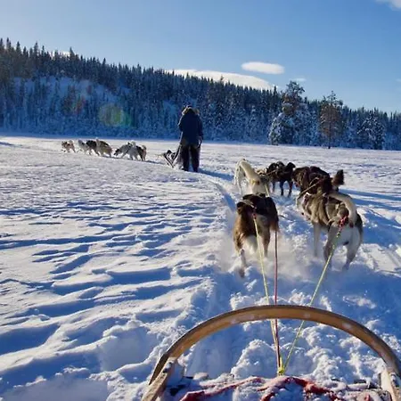 Grana - Baerekraftig - Natur & Ski - 60 Min Osl Vendégház