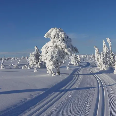 Grana - Baerekraftig - Natur & Ski - 60 Min Osl 4*